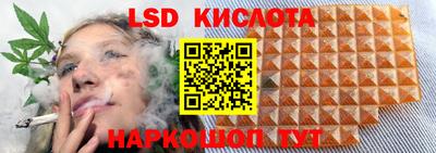 spice Малоярославец