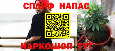прущие крисы Малгобек