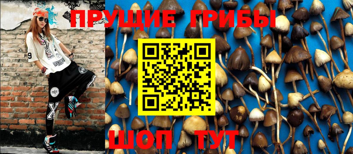 Псилоцибиновые грибы GOLDEN TEACHER Туймазы