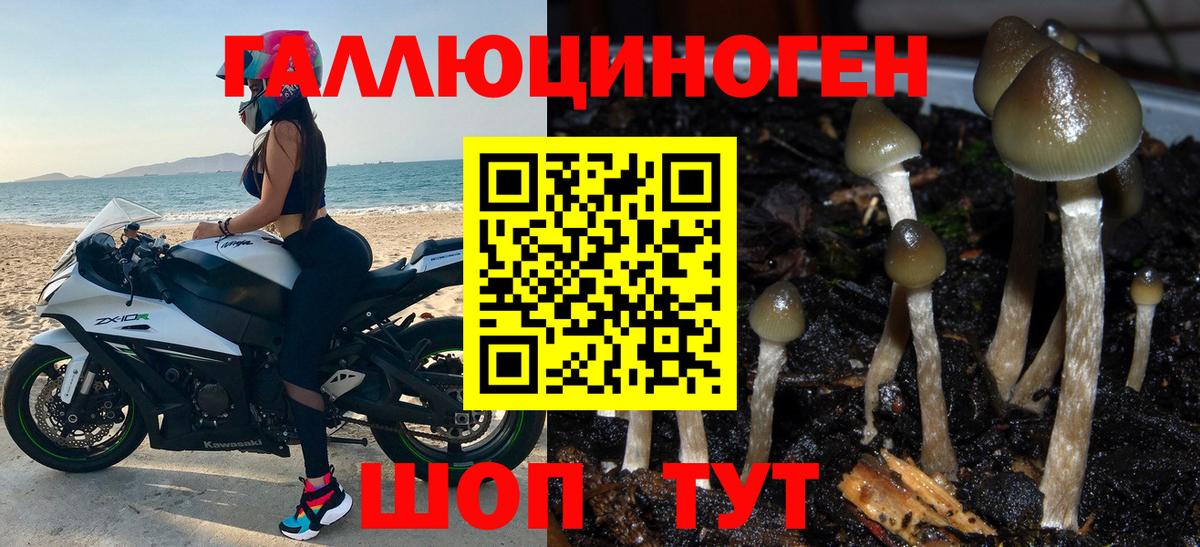 Туймазы  купить  сайты  Вход с VPN  Псилоцибиновые грибы Psilocybe 